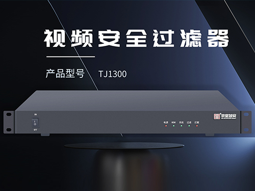 漳州AI视频安全过滤器